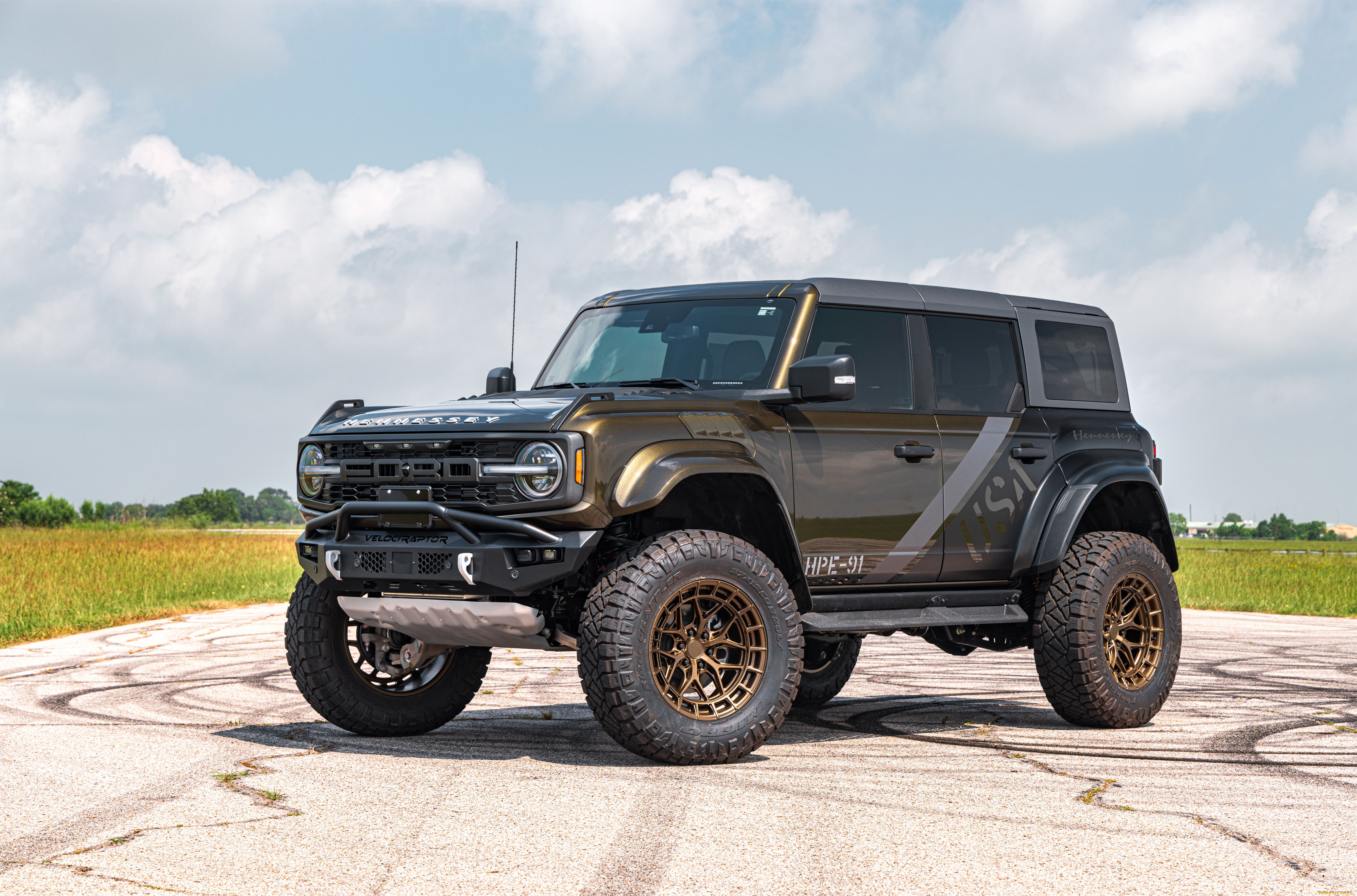 ����������, ford